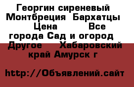 Георгин сиреневый. Монтбреция. Бархатцы.  › Цена ­ 100 - Все города Сад и огород » Другое   . Хабаровский край,Амурск г.